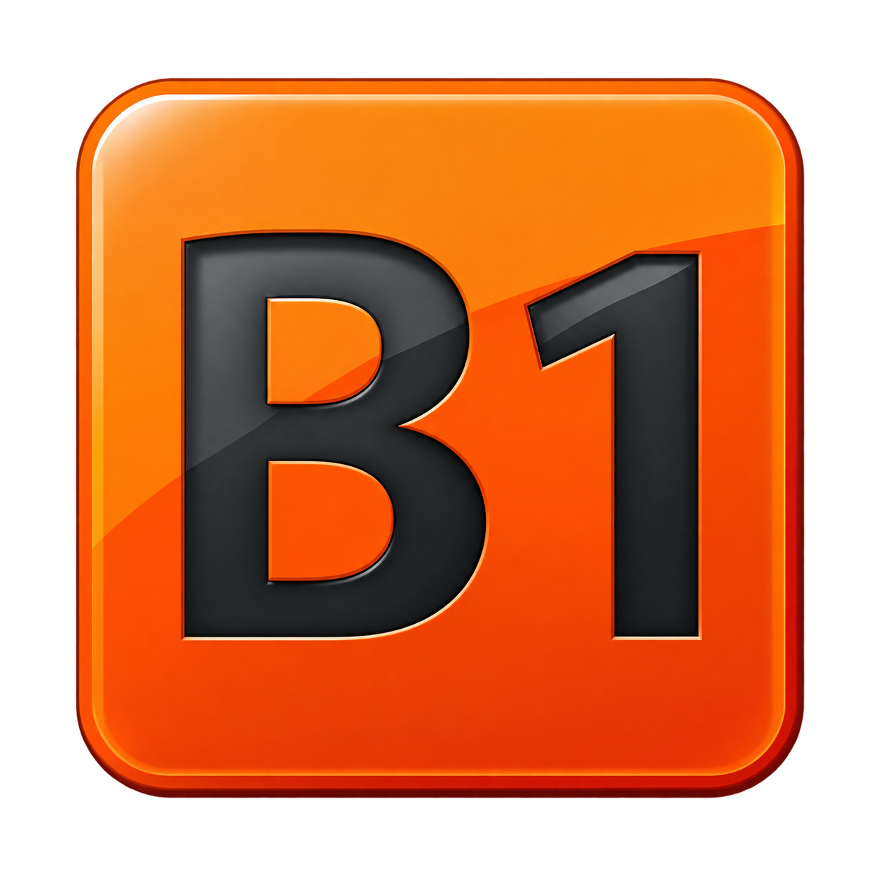 B1